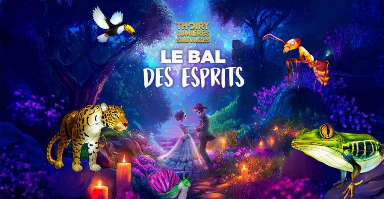 The wild lights of Thoiry: opening hours and prices Les lumières sauvages, les illuminations de noel à Thoiry