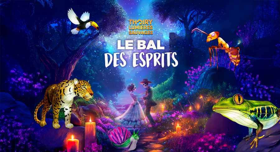 Les lumières sauvages, les illuminations de noel à Thoiry