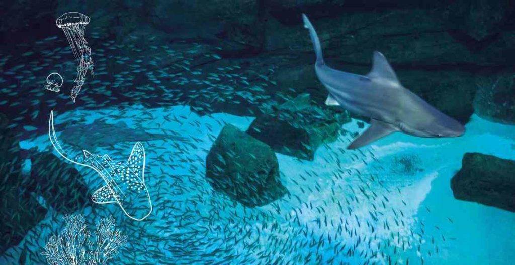 L'Aquarium de Paris