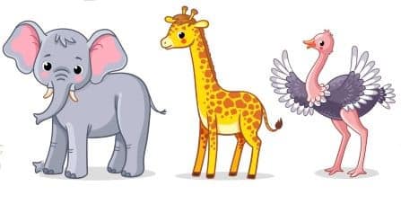 Thoiry safari