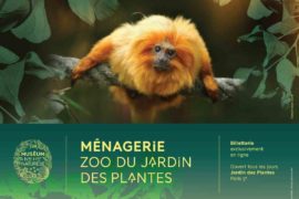 la menagerie du jardin des plantes tarif