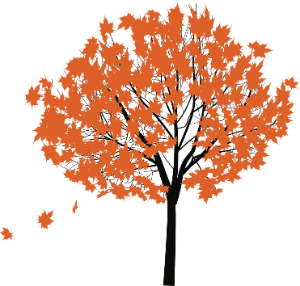 autumn-Vél'Ofil
