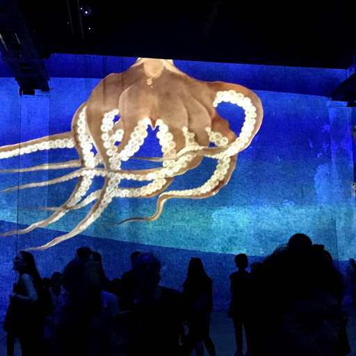 des monstres vivants à l'atelier des lumières à Paris
