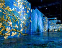 van Gogh à l'atelier des lumières à Paris