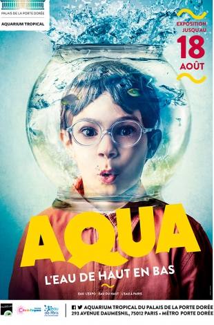 Aqua, l'expo à voir gratuitement lors des nocturnes du mois d'aout