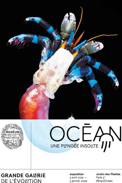 ocean exhibition at MNHN