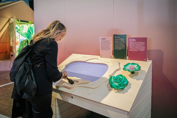 des expériences interactives à l'expo "Jardiner"