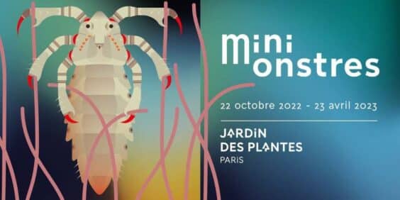 Mini Monstres