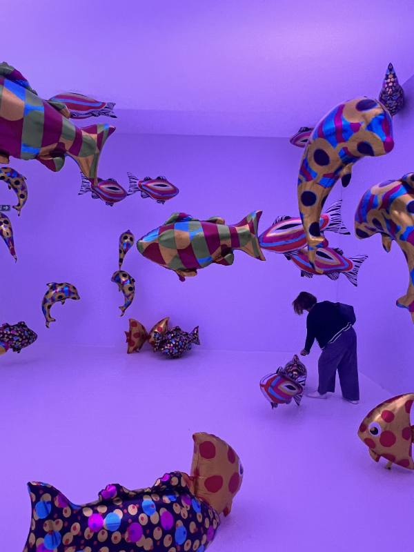 l'aquarium d'euphoria