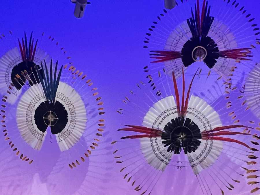 sculpture contemporaine - expo Amazonia