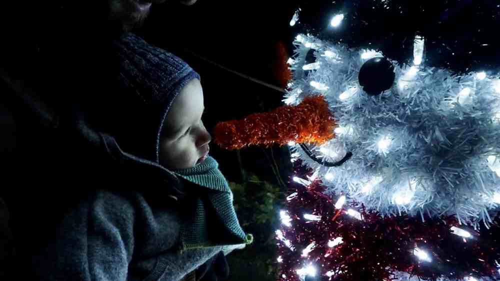 outing for children : lights in the Seine