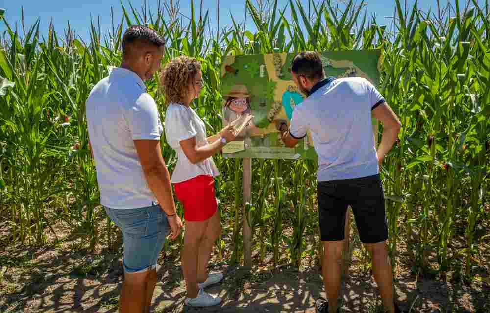 the Pop Corn Labyrinth