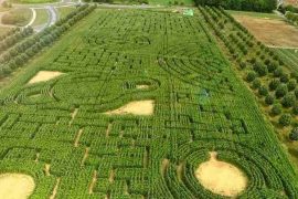 labyrinth of Senart
