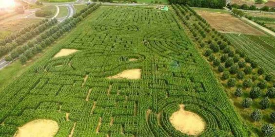 Senart Labyrinth at the Carré