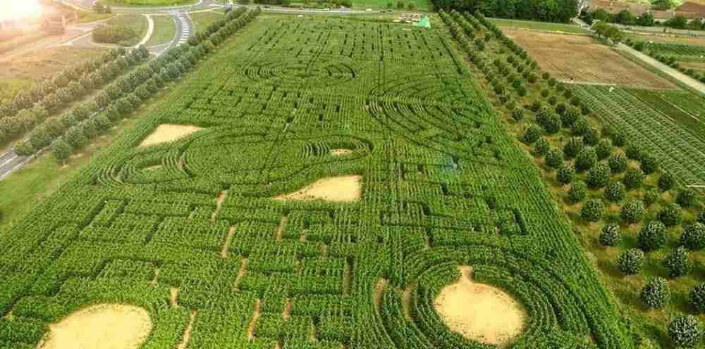 labyrinthe de Senart