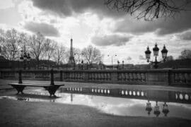 Paris in the rain