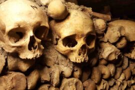 the catacombs of paris