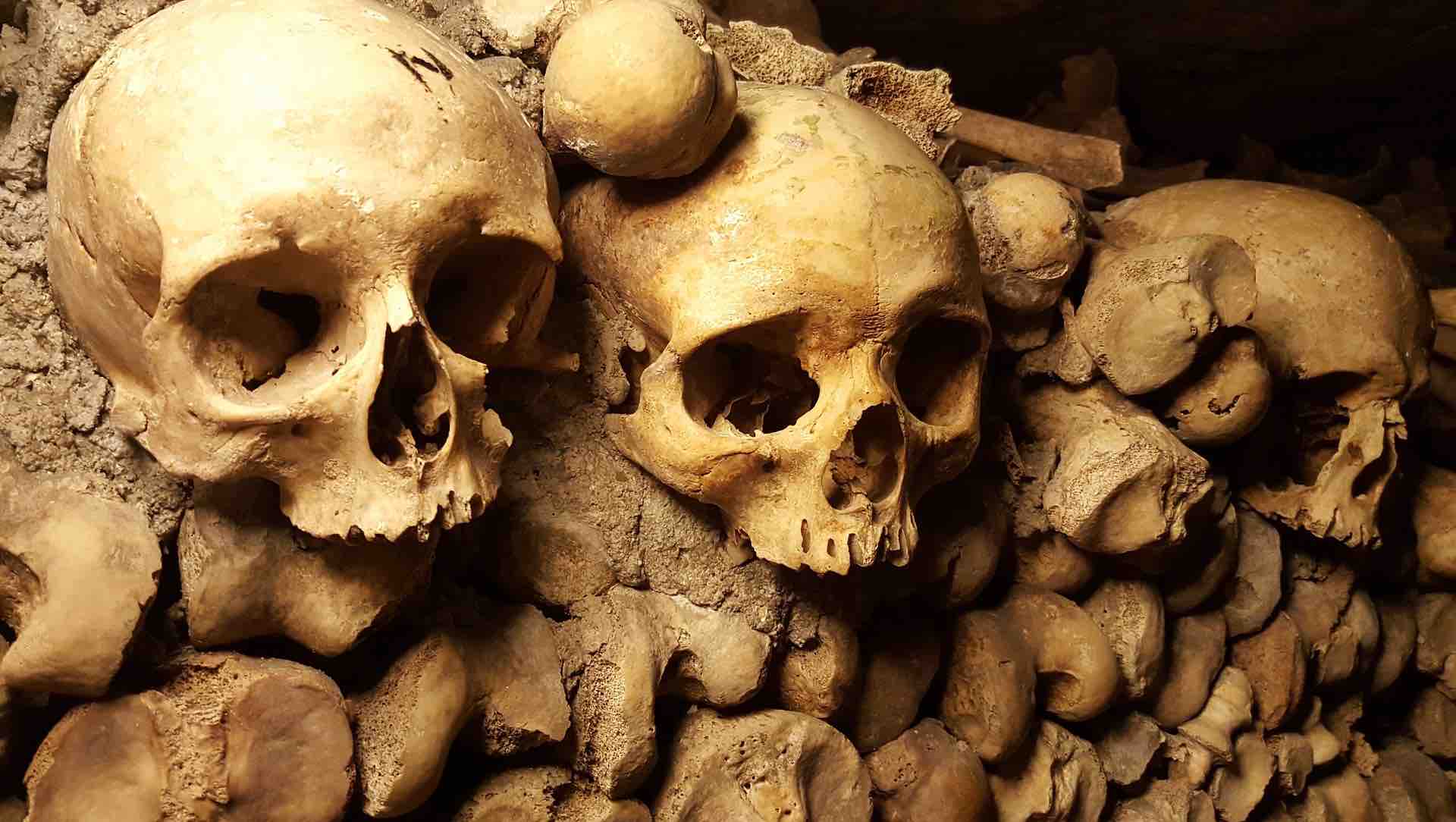 the catacombs of paris