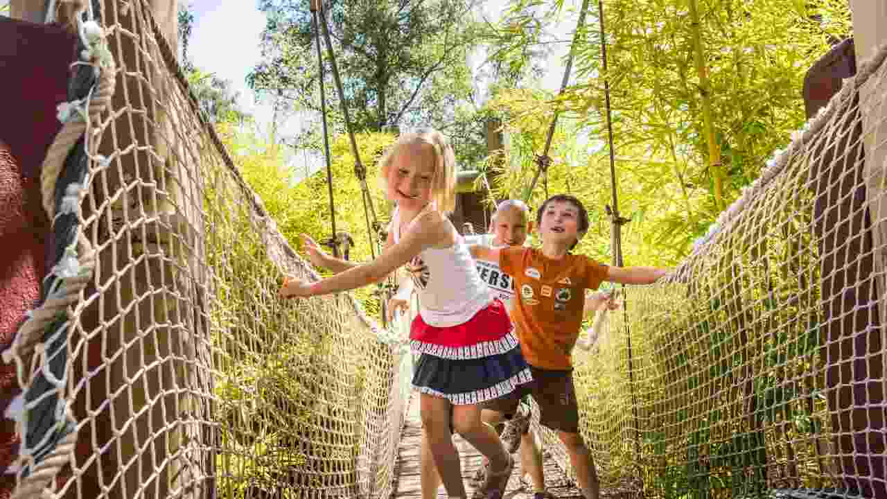 the suspension bridge