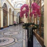 galerie Vivienne paris