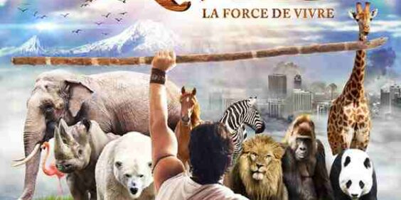 Noé, la force de vivre