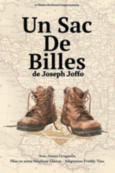 La pièce de théâtre adaptée du livre