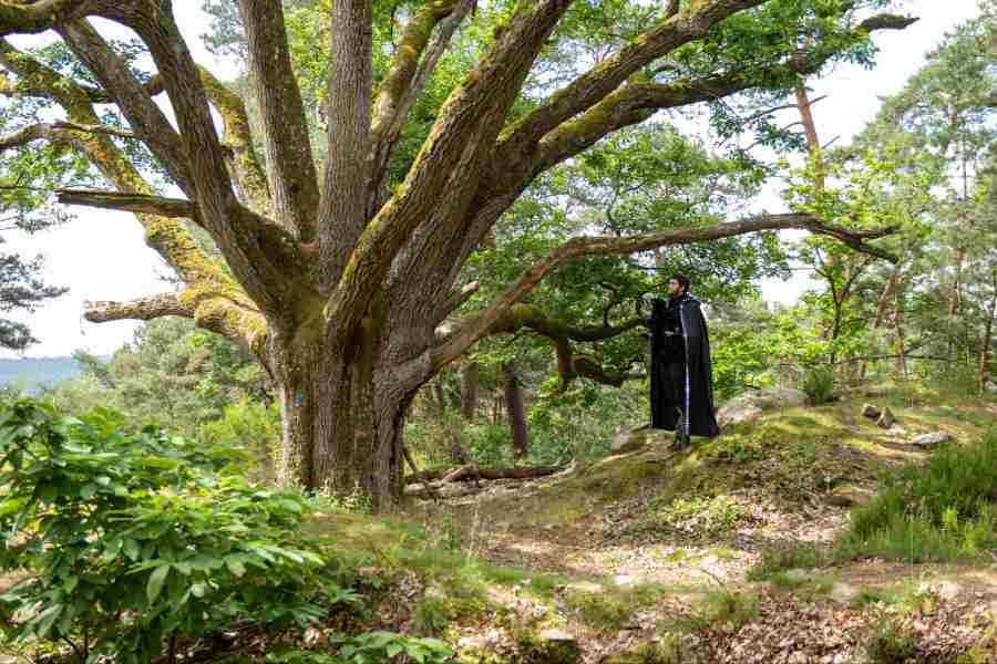 Visite théatralisée à Fontainebleau