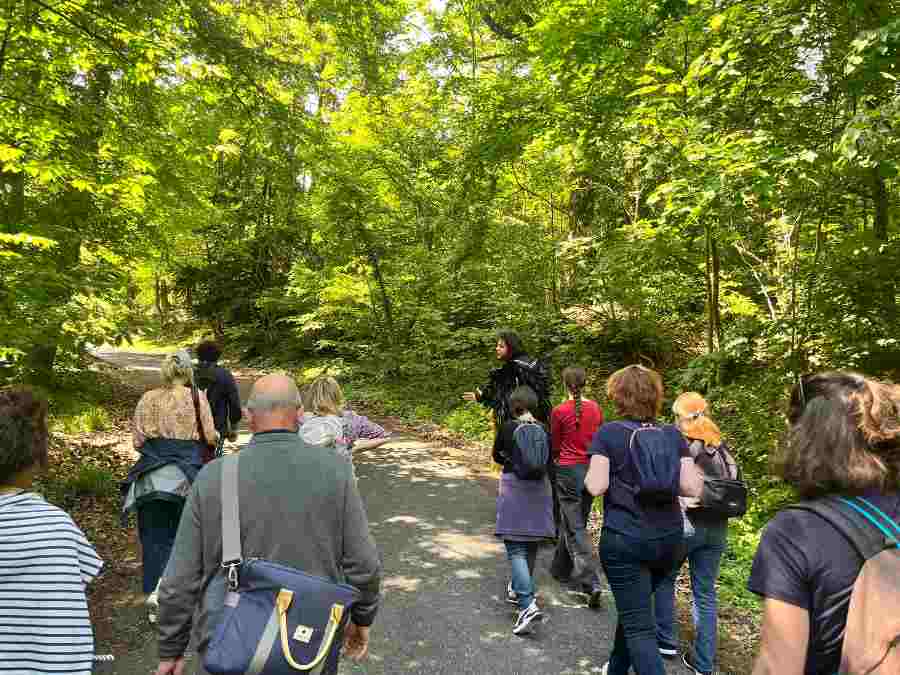 une balade dans la foret de Fontainebleau