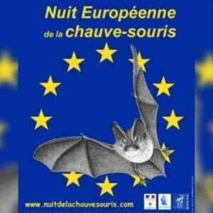 nuit international de la chauve souris