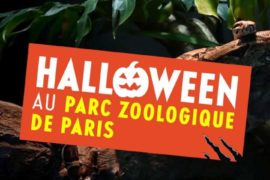 halloween at Vincennes Zoo