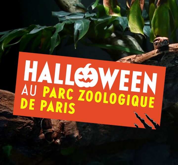 halloween at Vincennes Zoo