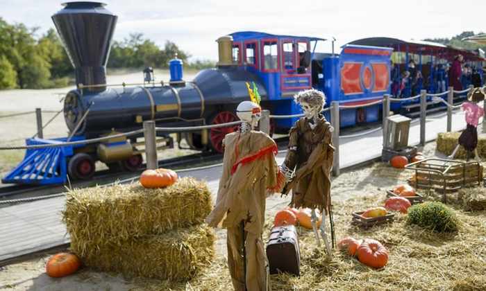 Halloween at the Sea of Sand. Discounted tickets