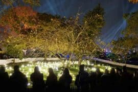 Lights! at La Villette for Christmas
