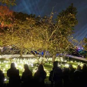 Lumières ! à la Villette pour Noël