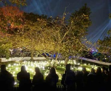 Lights! at La Villette for Christmas
