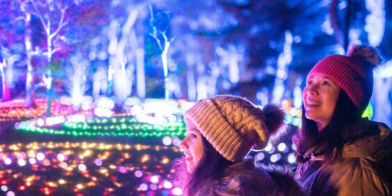 Christmas light trails