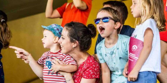 The racetrack as a family