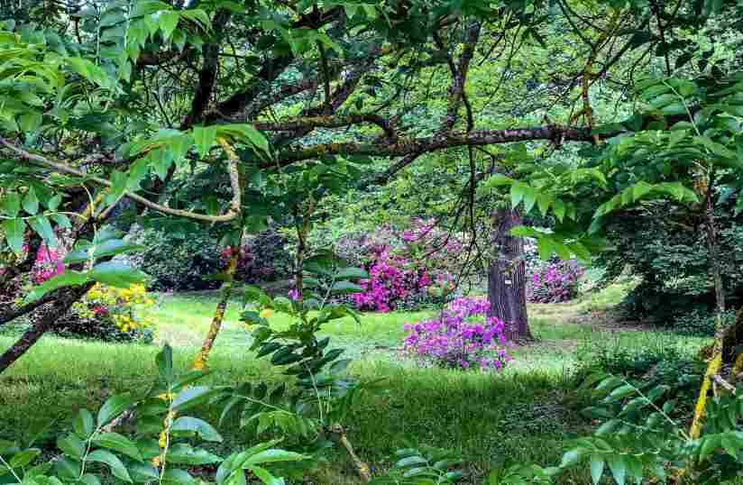 The Arboretum of Versailles Chevreloup to discover absolutely