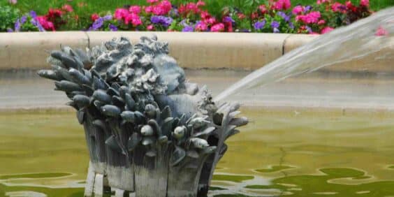 Parks with water features to cool off