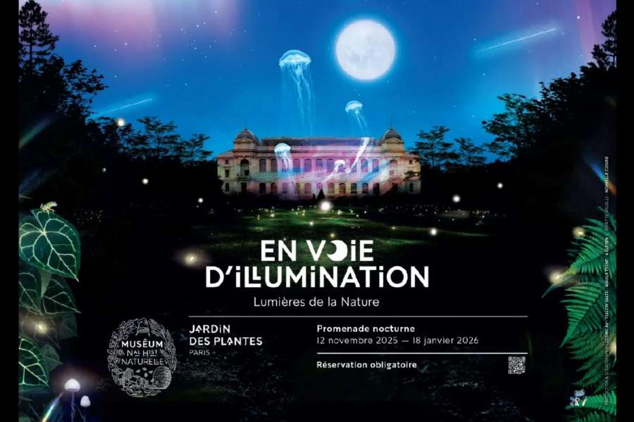 En voie d'illumination, au jardin des Plantes en 2025/2026