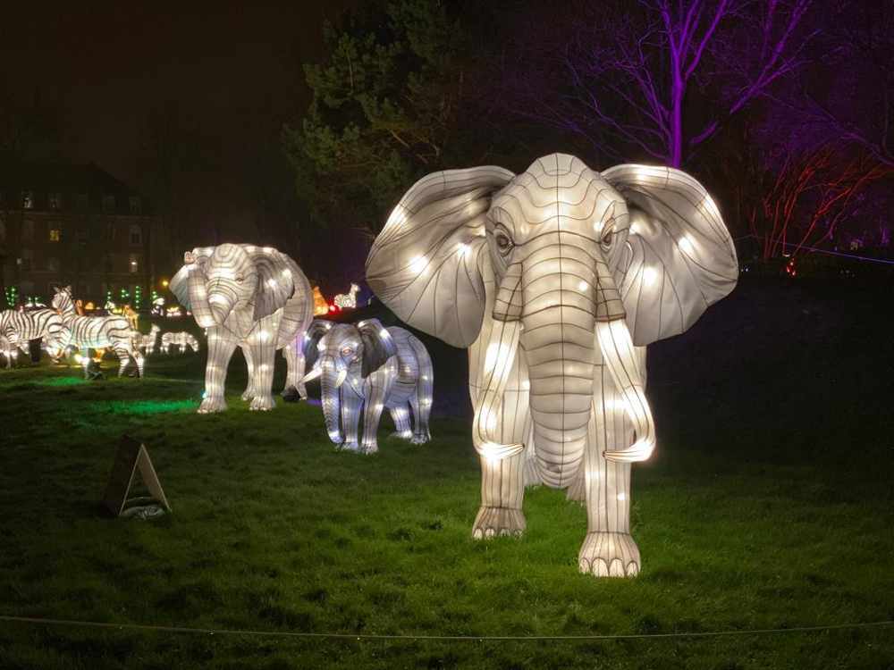 les éléphants de l'Odyssée lumineuse