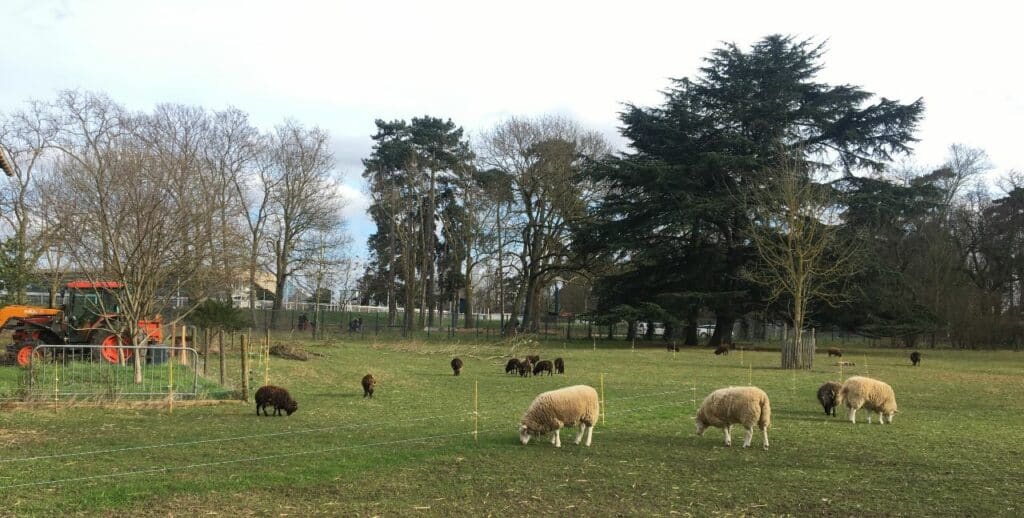 La ferme de Paris, une ferme pédagogique dans le 12ème (gratuit)