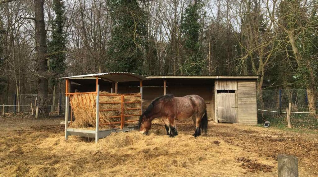 La ferme de Paris, une ferme pédagogique dans le 12ème (gratuit)