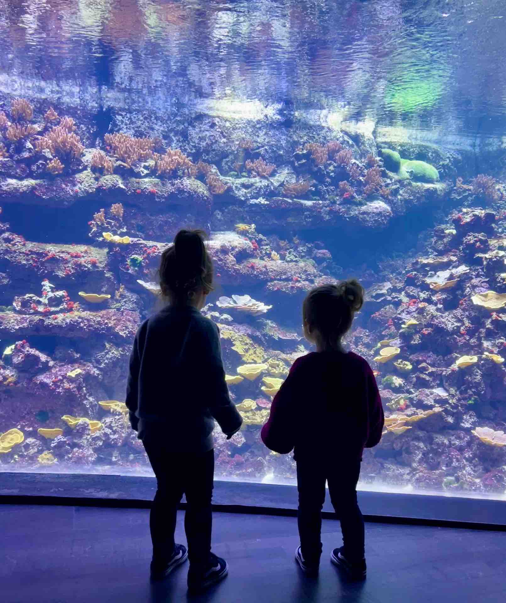 enfants à l'aquarium de Paris
