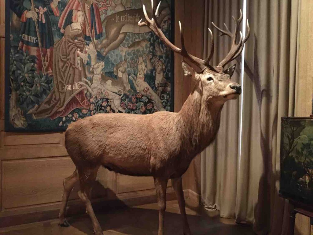 the museum of hunting and nature in Paris in the Marais