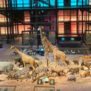 la grande galerie de l'évolution au jardin des plantes