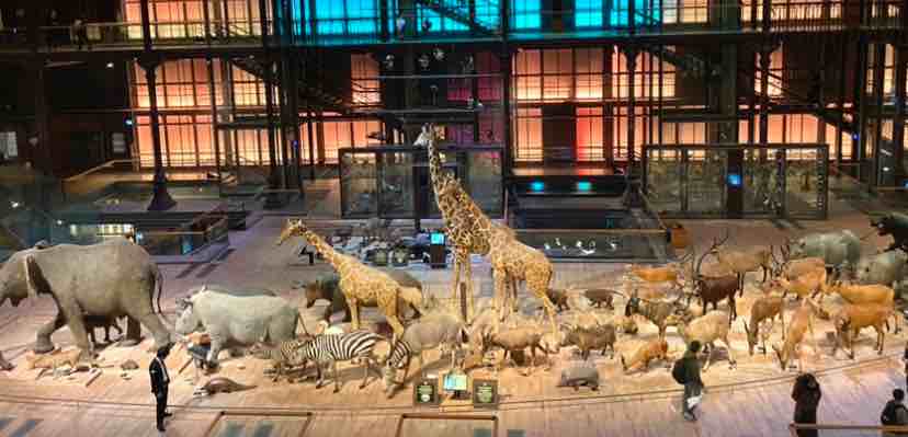 The Grande Galerie de l'Évolution in the Jardin des Plantes