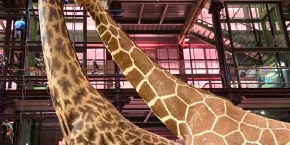 5 jours pour visiter Paris avec des enfants