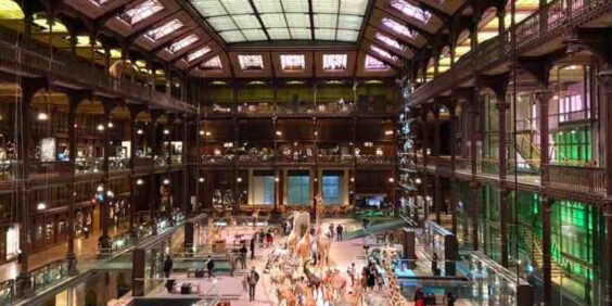 5 jours pour visiter Paris avec des enfants