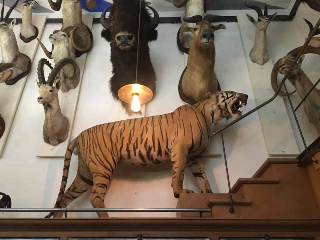 le musée de la chasse à Paris dans le Marais